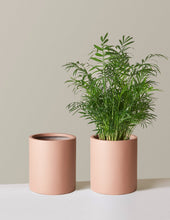 Load image into Gallery viewer, Burbank Planter